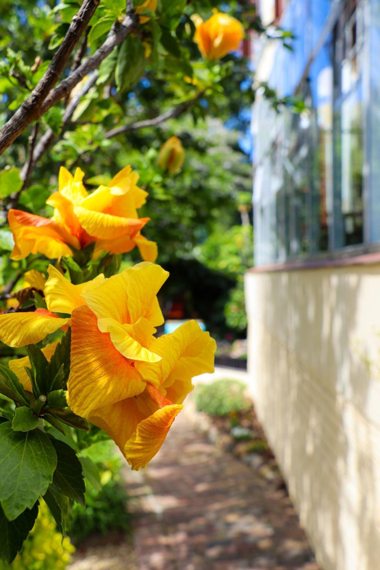 Carmichael House Boutique Hotel Cape Town Exterior photo
