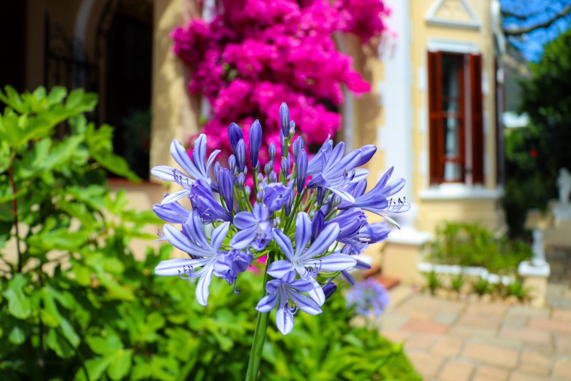 Carmichael House Boutique Hotel Cape Town Exterior photo